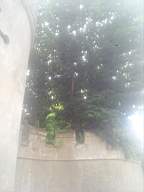 castlepark gate - 10815.jpg